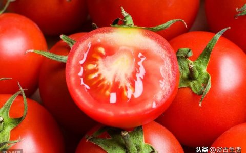 西红柿是什么时候传入中国的，盘点西红柿的起源和历史