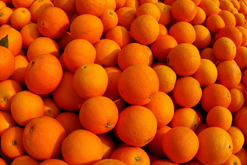 脐橙之乡是哪里，中国脐橙十大品牌