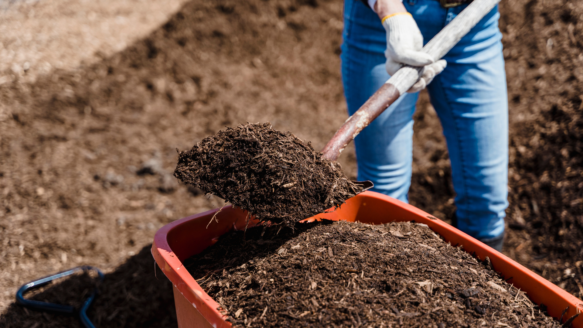 基肥是什么肥料，基肥的简介和用途