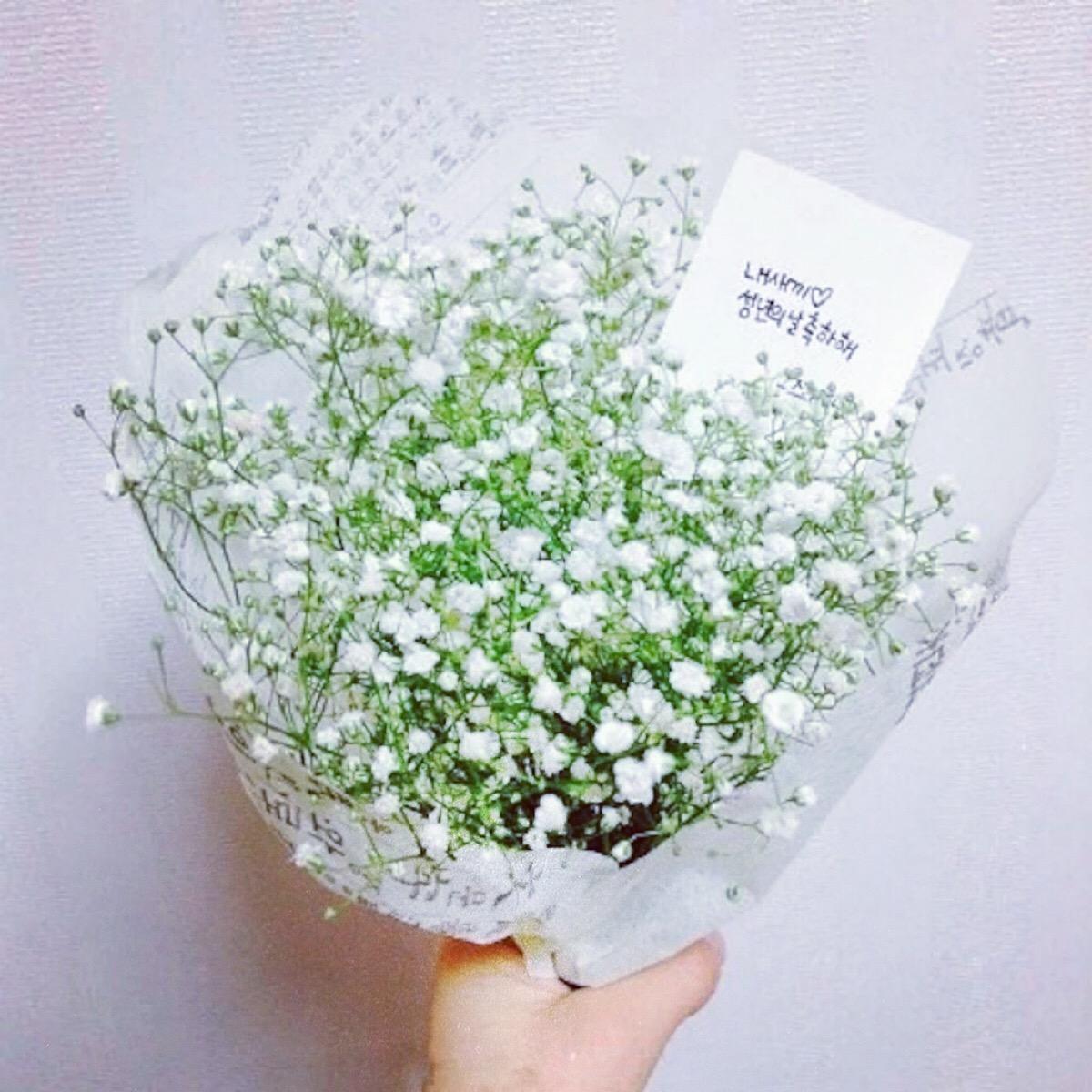 给异性普通朋友送什么花，送给男生比较合适的花