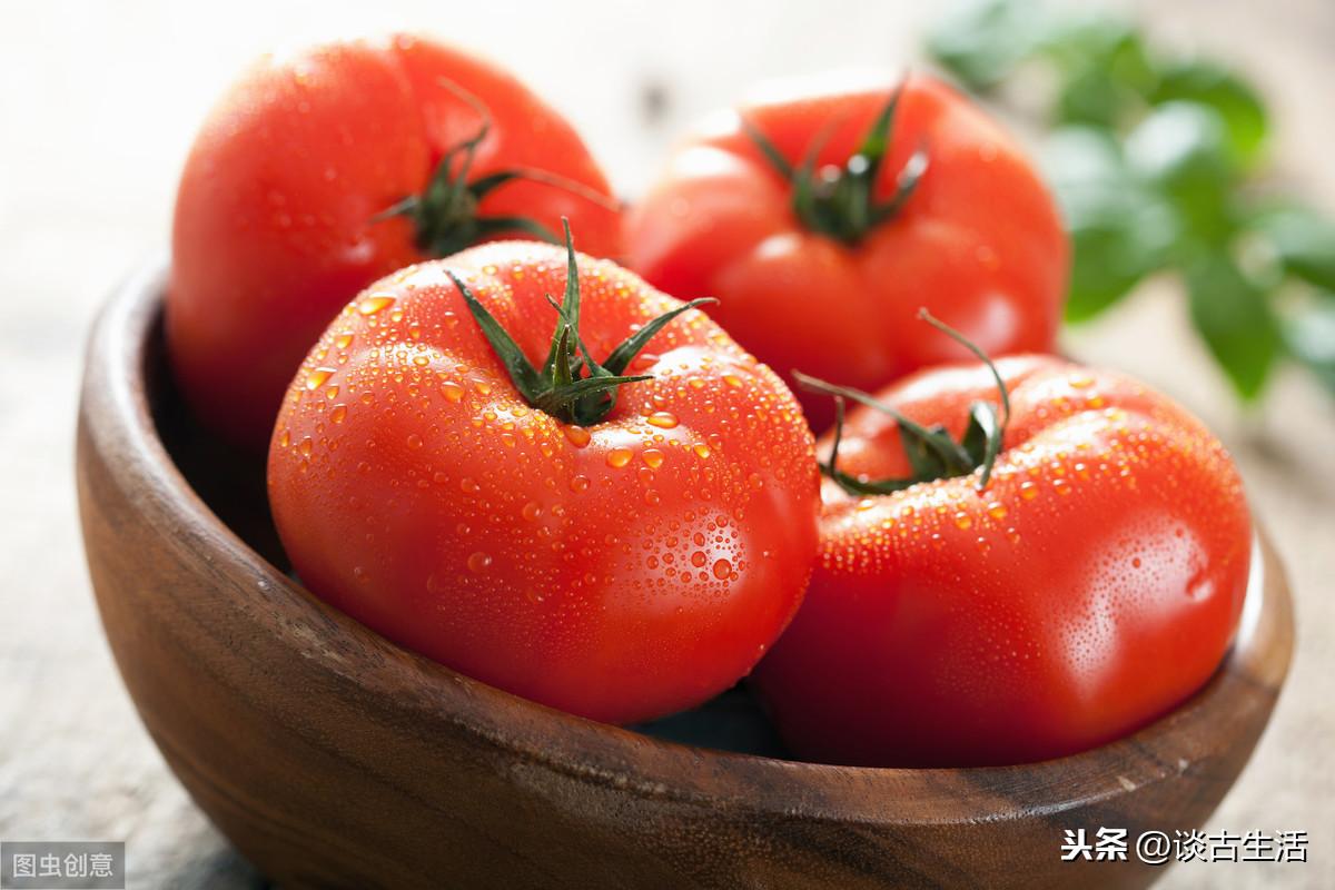 西红柿是什么时候传入中国的，盘点西红柿的起源和历史