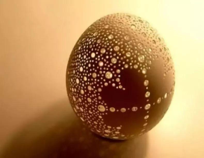 鸡蛋壳可以做肥料吗，鸡蛋壳的用途都有哪些